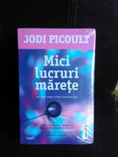 Mici lucruri marete - Jodi Picoult