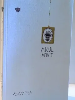 MICUL INFINIT DE DOMINIQUE LOREAU