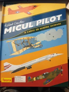Micul pilot - O carte 3D despre avioane