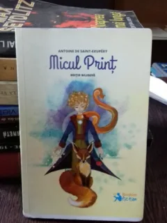 MICUL PRINT - ANTOINE DE SAINT EXUPERY