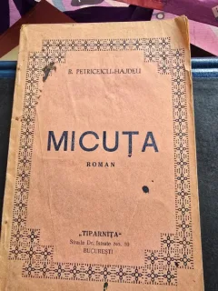 MICUTA - BOGDAN PETRICEICU HAJDEU