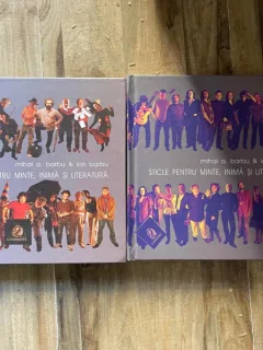 Mihai A. Barbu - Sticle pentru minte, inima si literatura (2 volume)