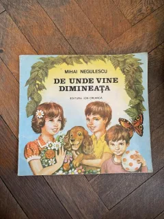 Mihai Negulescu De unde vine dimineata