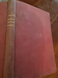 Mihail Sadoveanu - Amintirile Caprarului Gheorghita