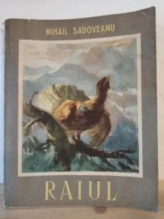 Mihail Sadoveanu - Raiul