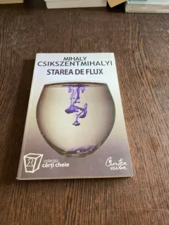 Mihaly Csikszentmihalyi - Starea de flux