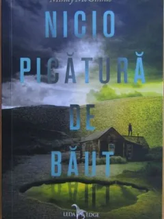 Mindy McGinnis - Nicio Picatura de Baut