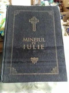 MINEIUL PE IULIE