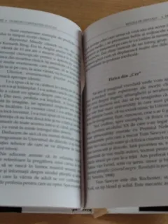 MINTEA DE DINCOLO - DUMITRU CONSTANTIN DULCAN