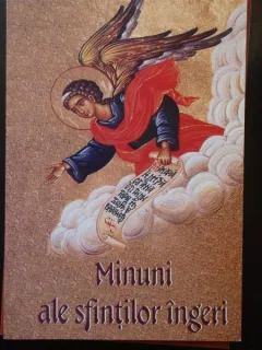 MINUNI ALE SFINTILOR INGERI