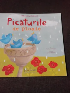 MINUNILE PRIMAVERII, PICATURILE DE PLOAIE - CHARLES GHIGNA