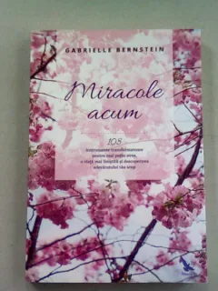 MIRACOLE ACUM - GABRIELLE BERNSTEIN