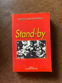 Mircea Constantinescu - Stand-by