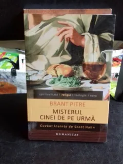 MISTERUL CINEI DE PE URMA - BRANT PITRE