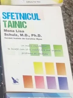 Mona Lisa Schulz - Sfetnicul Tainic