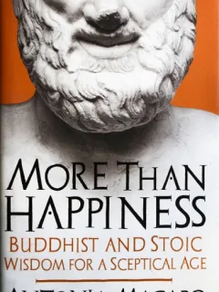 MORE THAN HAPPINESS, ANTONIA MACARO (CARTE IN LIMBA ENGLEZA)