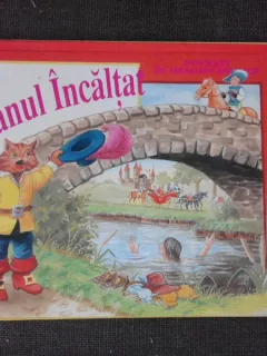 Motanul incaltat, carte 3D
