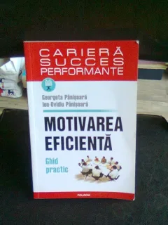 MOTIVAREA EFICIENTA - GEORGETA PANISOARA