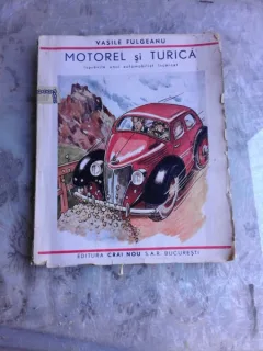 MOTOREL SI TURICA - VASILE FULGEANU