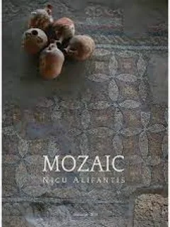MOZAIC - NICU ALIFANTIS