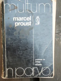 MULTUM IN PARVO MARCEL PROUST - IRINA ELIADE