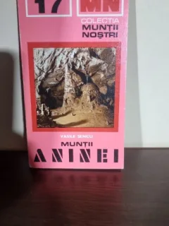 MUNTII ANINEI - VASILE SENCU