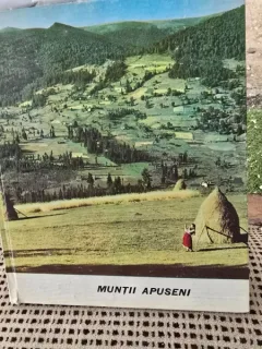 Muntii Apuseni - Mihai Beniuc