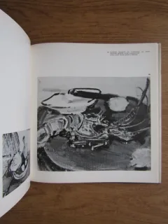 M.W. ARNOLD - GEORGETA PELEANU