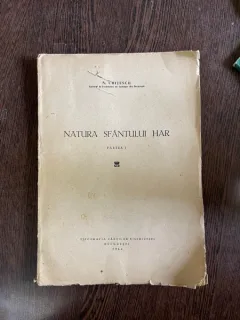 N. Chitescu Natura sfantului har Partea I (1944)