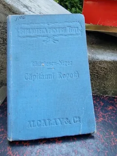 N. G. Radulescu-Niger - Capitanul Ropota