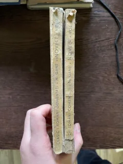 N Gane Novele 2 volume editie definitiva