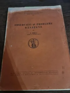 N. Iorga - Observatii si probleme Banatene