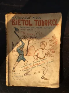 N. Radulescu-Niger - Bietul Tudorel
