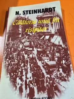 N. Steinhardt - Calatoria Unui Fiu Risipitor