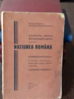 NATIUNEA ROMANA - NICOLAE BOGDAN
