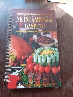 NE INTAMPINAM OASPETII - OXANA UZUN