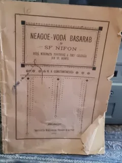 Neagoe-Voda Basarab si Sf. Nifon dupa minunata povestire a unui calugar din Sf. Munte