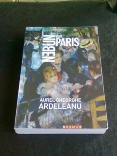 NEBUN DUPA PARIS - AUREL GHEORGHE ARDELEANU