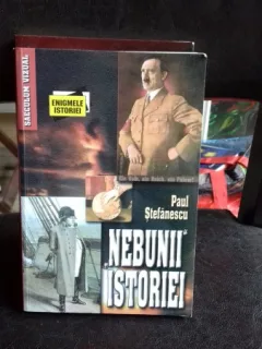 NEBUNII ISTORIEI, PAUL STEFANESCU