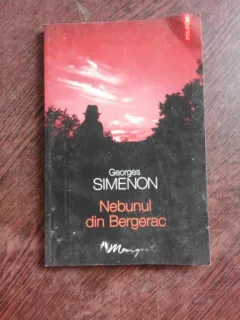 NEBUNUL DIN BERGERAC - GEORGES SIMENON