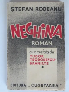 NEGHINA - STEFAN RODEANU