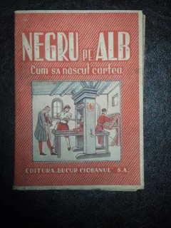 NEGRU PE ALB CUM S-A NASCUT CARTEA