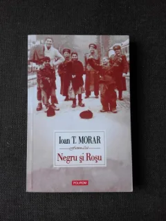 NEGRU SI ROSU - IOAN T. MORARA