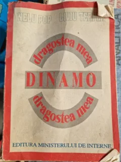 Nelu Pop, Liviu Terfea - Dinamo, Dragostea mea
