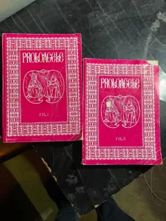 Nestor Vornicescu - Proloagele (2 volume)