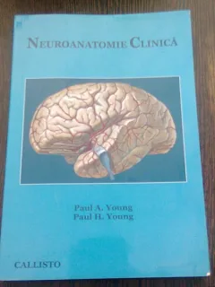 NEUROANATOMIE CLINICA - PAUL A. YOUN