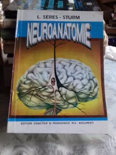 NEUROANATOMIE  - L.SERES