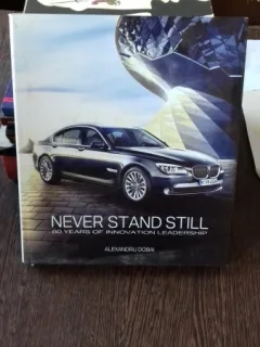 NEVER STAND STILL - ALEXANDRU DOBAI