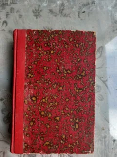 NEVESTELE ARTISTILOR - ALPHONSE DAUDET