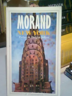 NEW YORK - PAUL MORAND  (CARTE IN LIMBA FRANCEZA)